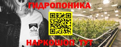 spice Рыбинск