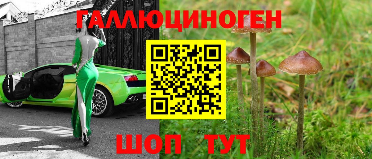 Псилоцибиновые грибы Psilocybe  Вход с VPN  Пушкино 